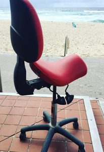 Wellness saddle seat with back support