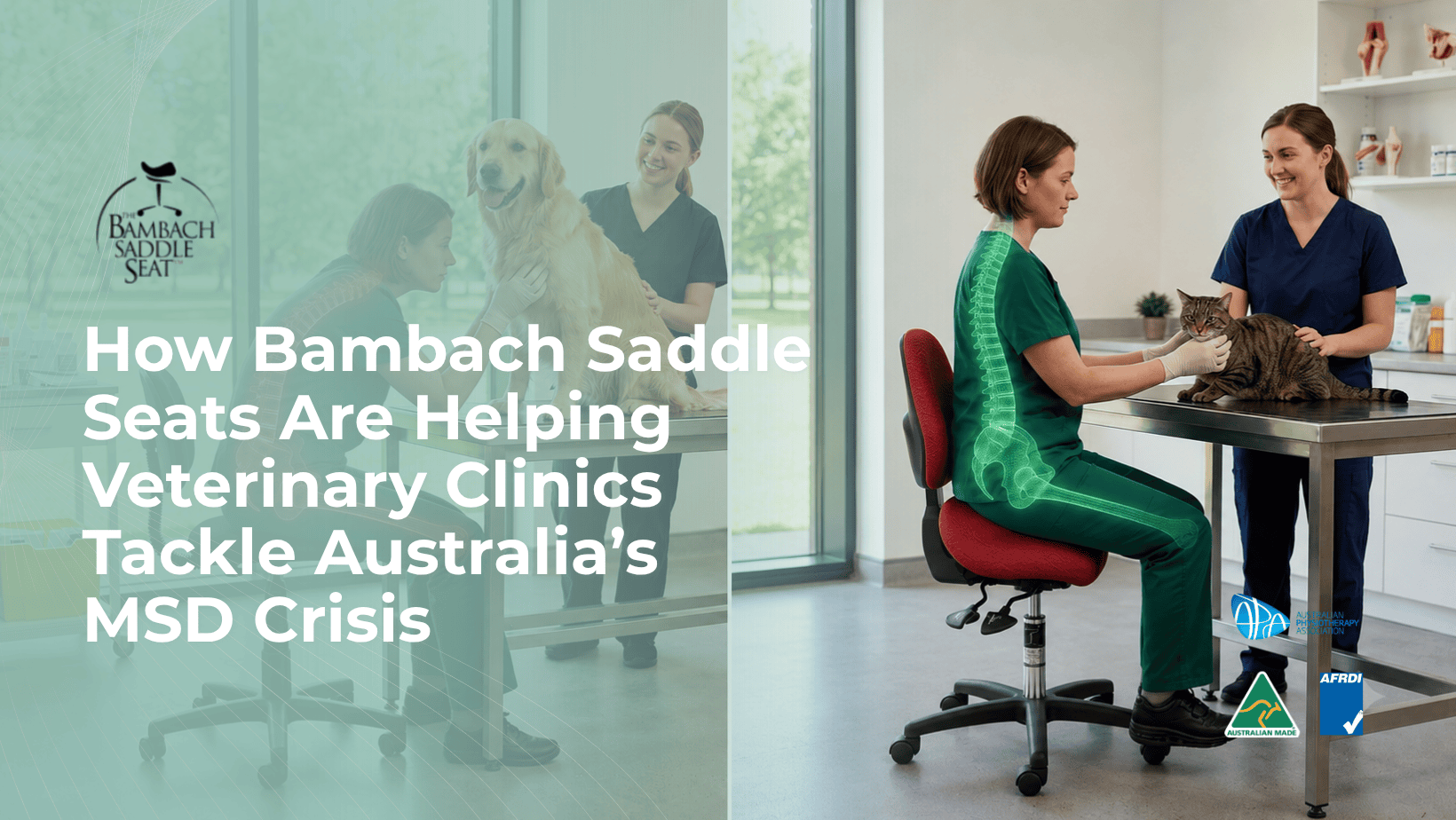 How Bambach Saddle Seats Are Helping Veterinary Clinics Tackle Australia’s MSD Crisis vet clinic MSD prevention
