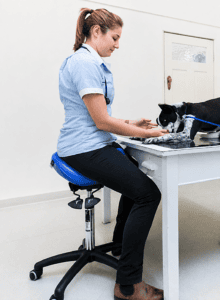profession-veterinary-hr-2x